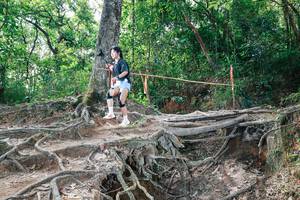 BIB: 
                            <button type="button" onclick="openModal(27721464)" class="btn btn-primary btn-sm float-right btn-popup" data-toggle="modal" data-target=".modal-high-quality">
                        <i class="fas fa-shopping-cart"></i> Add to Cart
                    </button>
                                            <button type="button" onclick="isThisMe(27721464, true)" class="btn btn-success btn-sm float-right btn-popup btn-isme hidden" data-toggle="tooltip" data-placement="bottom" title="นี่คือรูปของคุณใช่ไหม คลิกที่นี่เพื่อเอาเข้าอัลบั้ม">
                        <i class="fas fa-plus"></i> Add to album
                    </button>
                    <button type="button" onclick="isThisMe(27721464, false)" class="btn btn-warning btn-sm float-right btn-popup btn-isnotme hidden">
                        <i class="fas fa-ban"></i> Remove from album
                    </button>